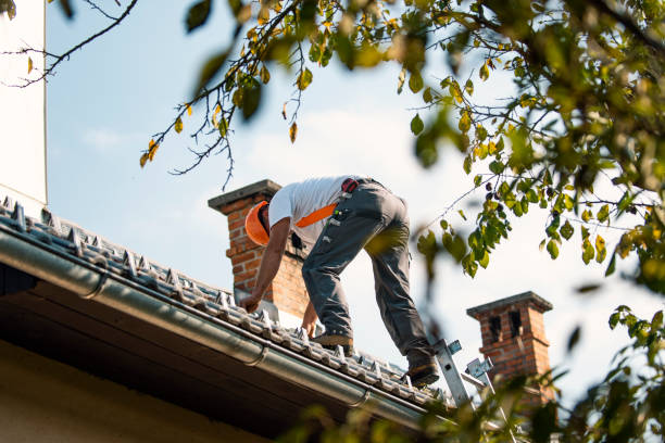 Best Roof Gutter Cleaning  in Gerber, CA